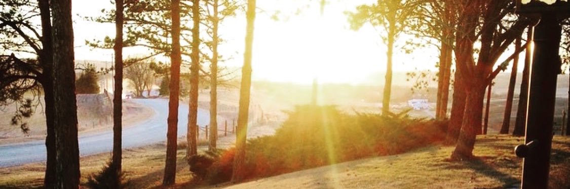 Jake Weber banner