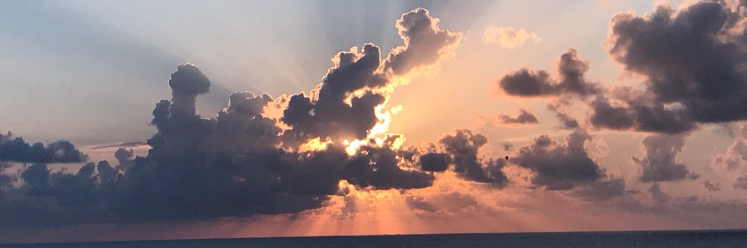 Katrina Shobe banner