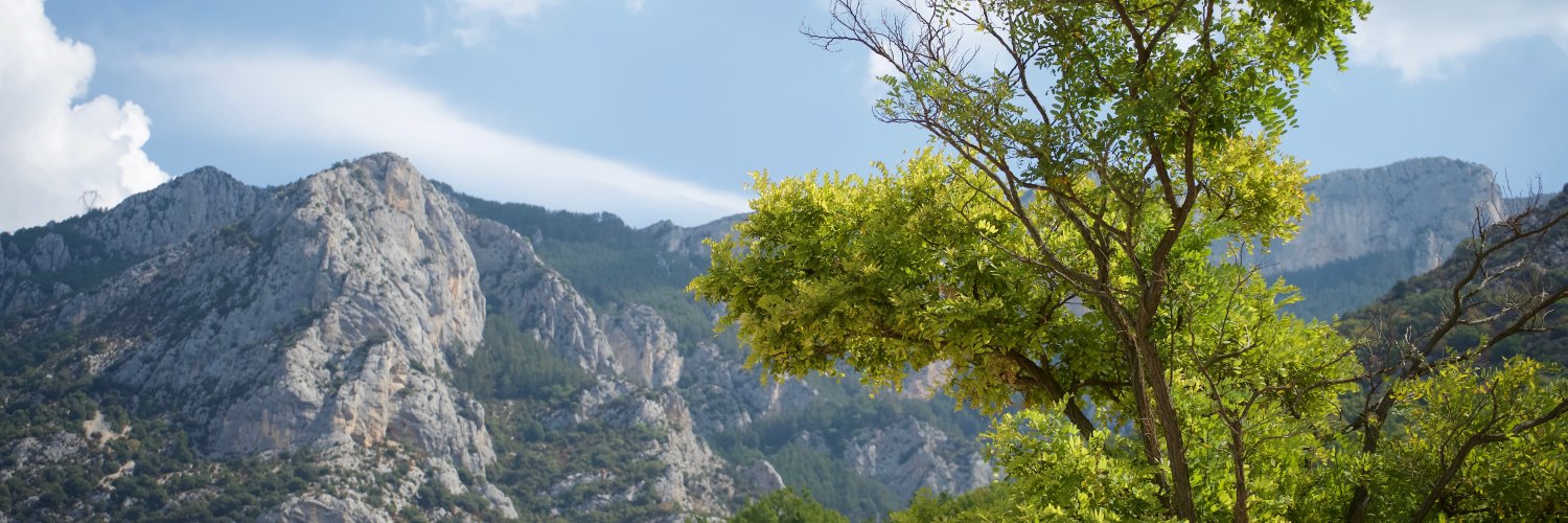 Damiaan Dufaux banner