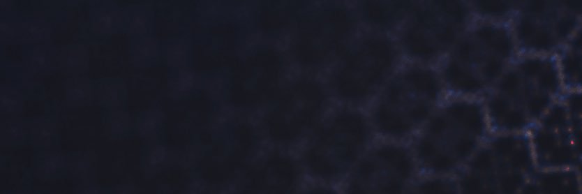 Karolina Attspodina banner