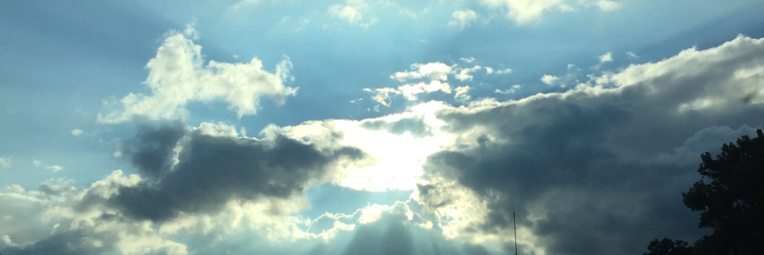 Gerianne_Ditto's profile banner image