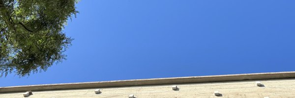 sebapizard Profile Banner