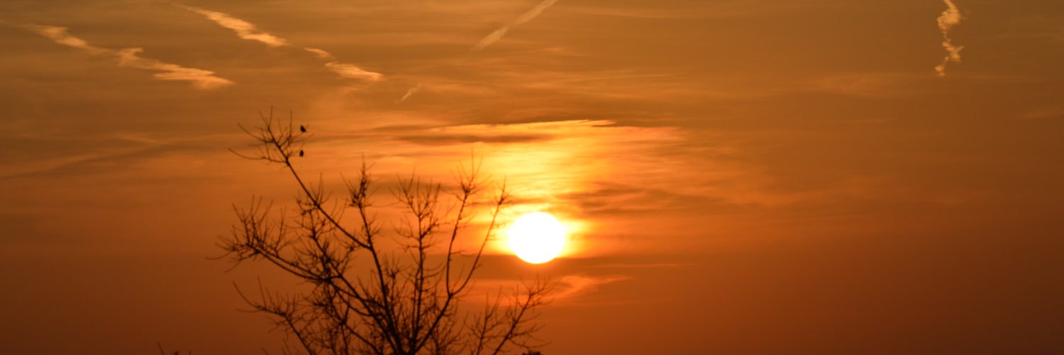 Cusarail's profile banner image