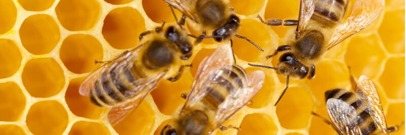 JaNekka Hutchinson, Ed.D. banner