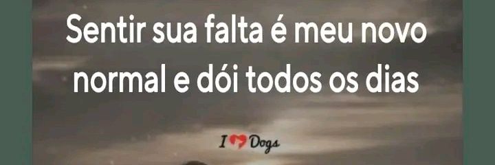 @marilialemos banner