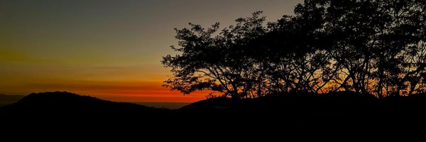 Goodthings Profile Banner