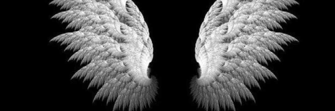 MoonlitTear's profile banner image