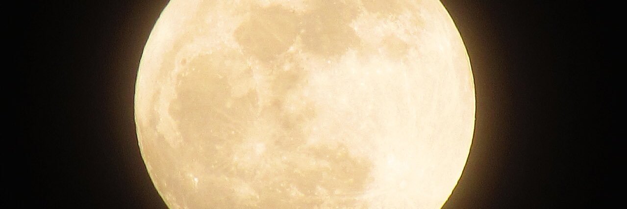 manmal457's profile banner image