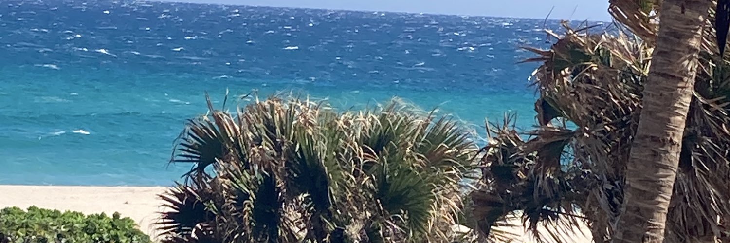 Christina Jane banner