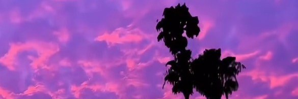 queenanitra_'s profile banner image