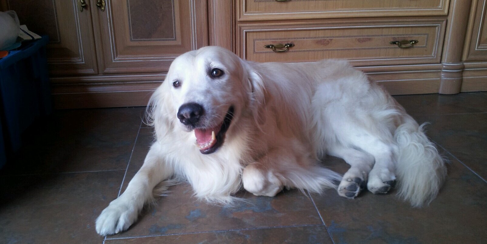 _jame's profile banner image