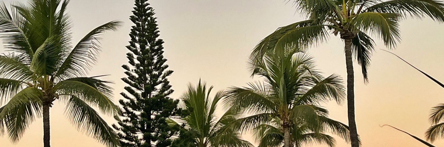 noerln_'s profile banner image