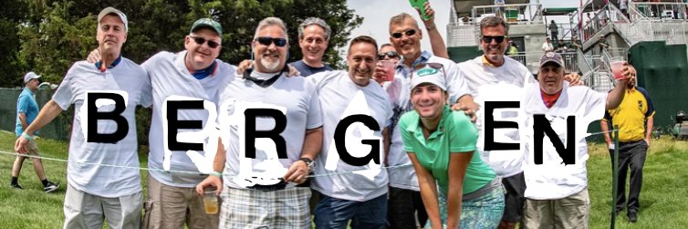 ronBERGENdy_'s profile banner image