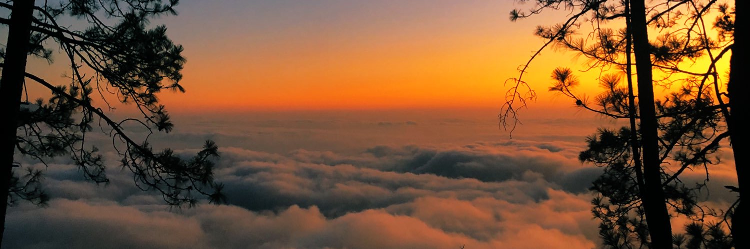 𝚅𝚊𝚗𝚎𝚜𝚜𝚊 𝙲𝚊𝚗𝚝𝚞́ banner