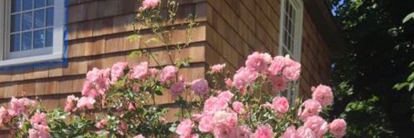Andrew_Matz's profile banner image