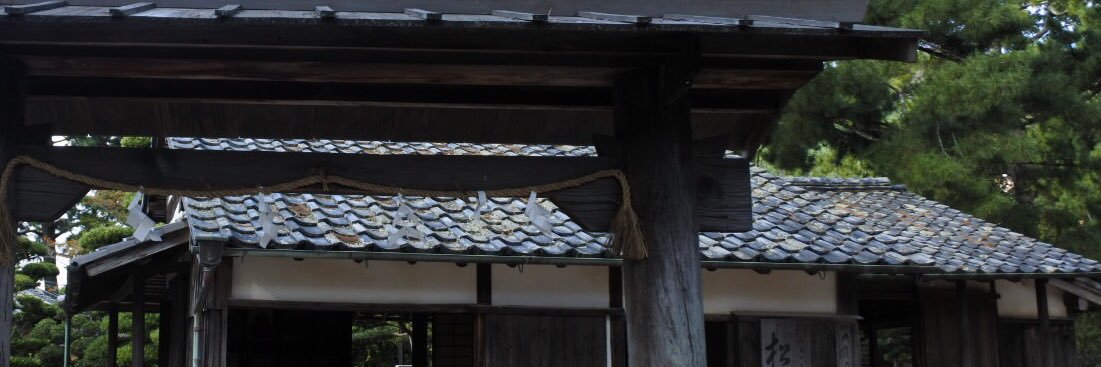 ginhitosuji's profile banner image