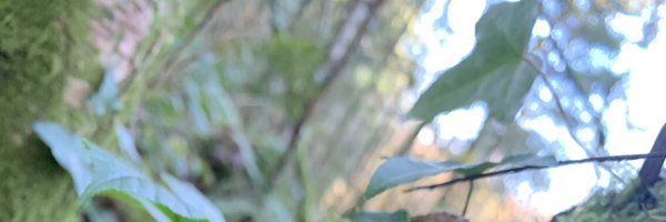 DesilvaMalin Profile Banner