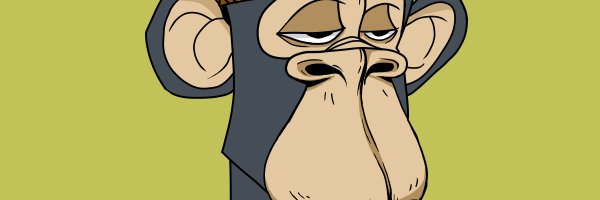 casscantrell1's profile banner image