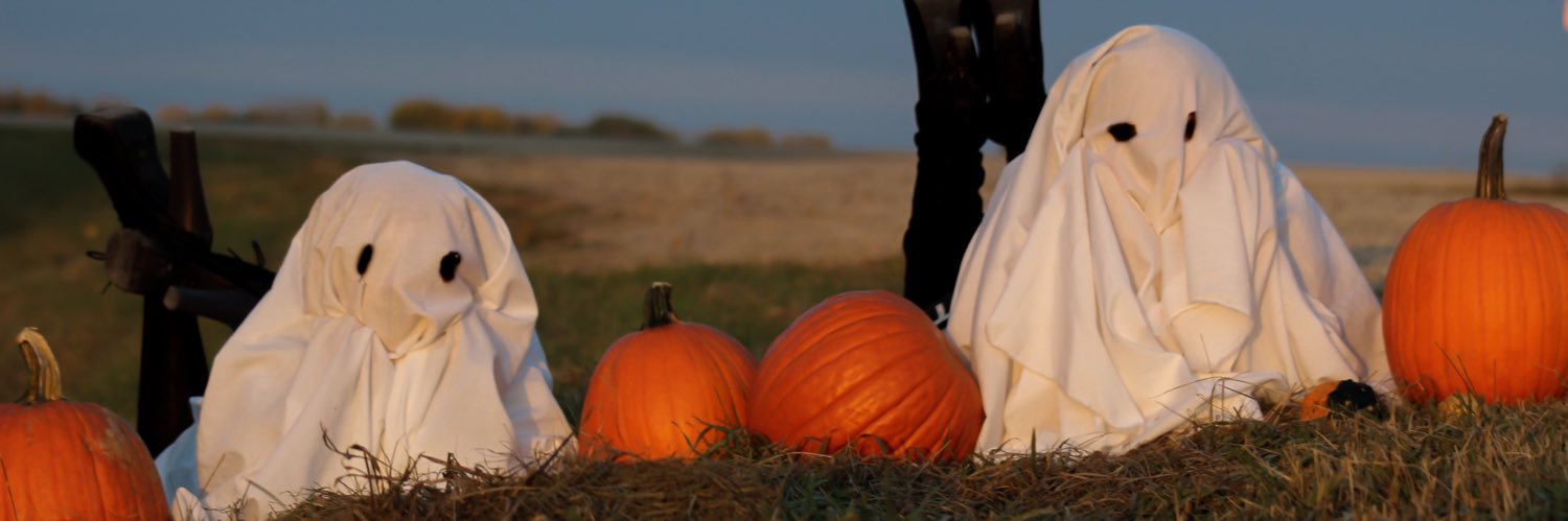 Staceyfortney's profile banner image