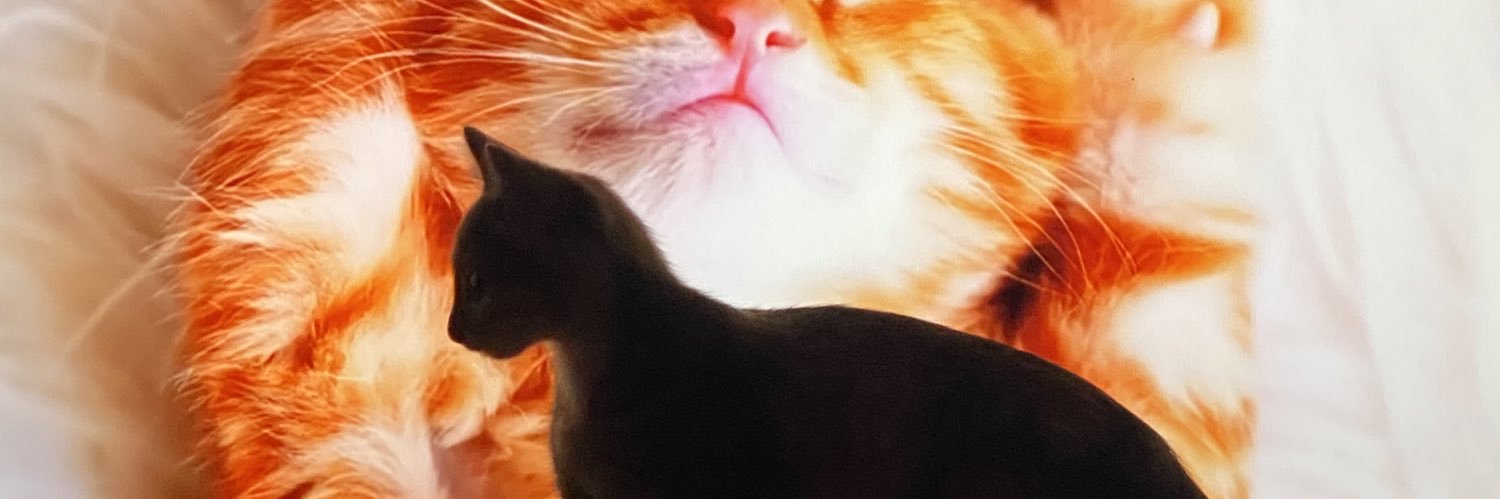 asacarolina_'s profile banner image