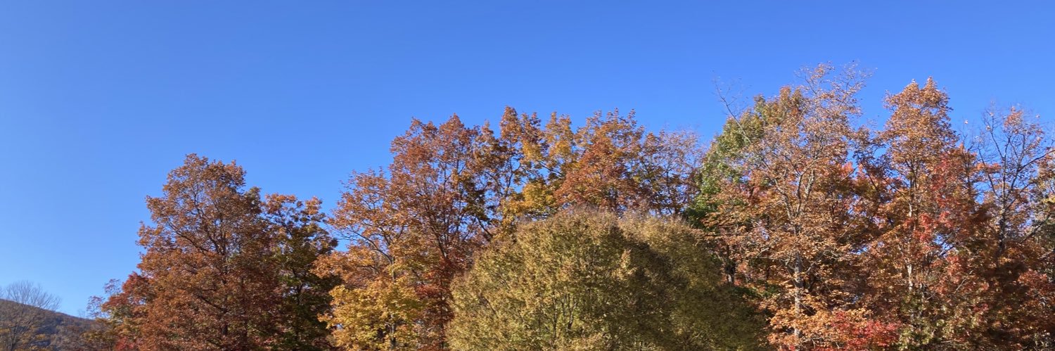 emmapowow's profile banner image