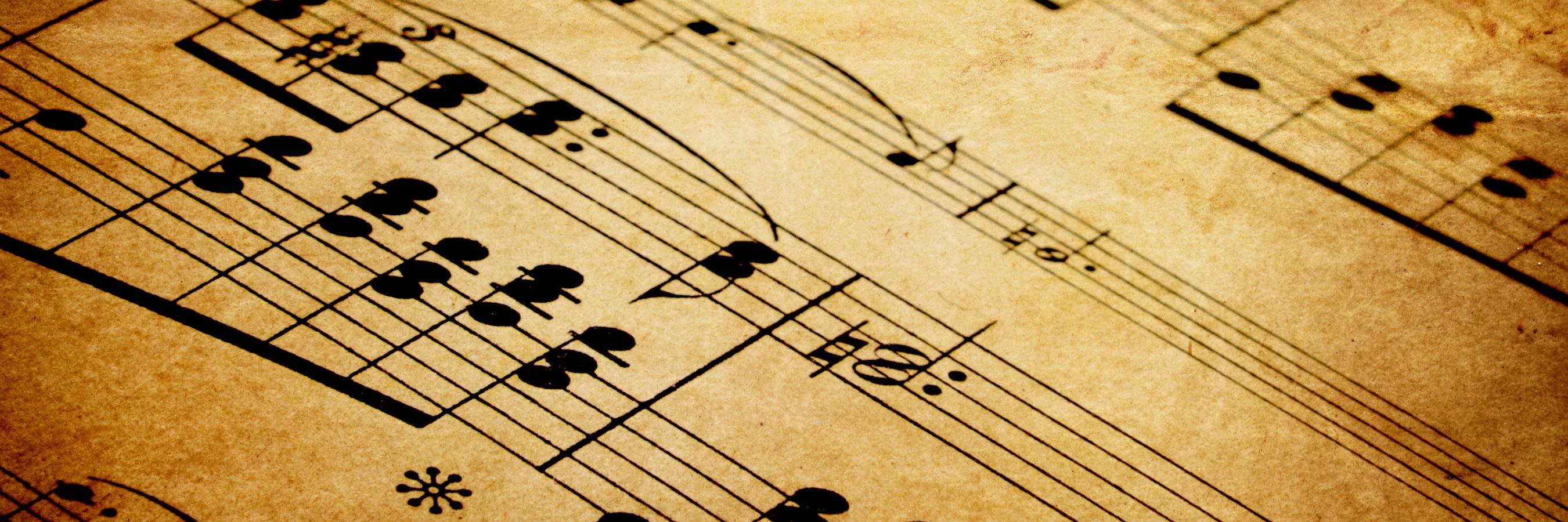Mrs. Megan Johnson banner