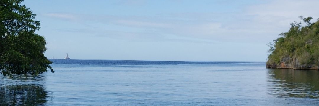 Stacey Siu Butt banner