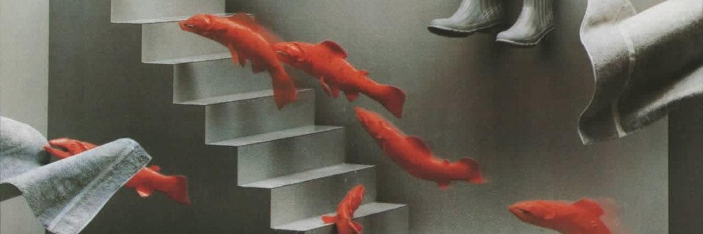 4S_Backup's profile banner image