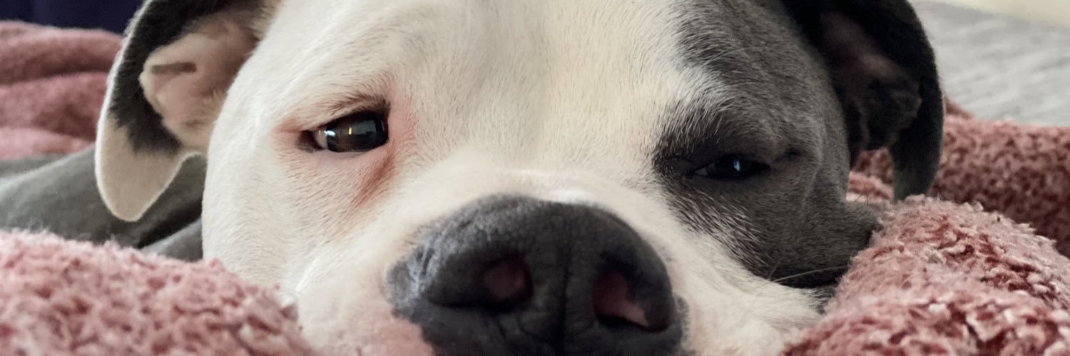ella_wilson2's profile banner image