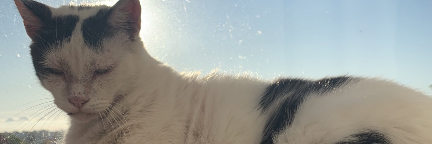 AnnekaNZ's profile banner image