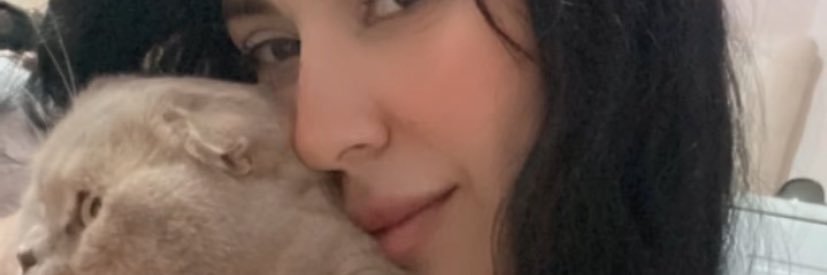 herneysetuuce's profile banner image