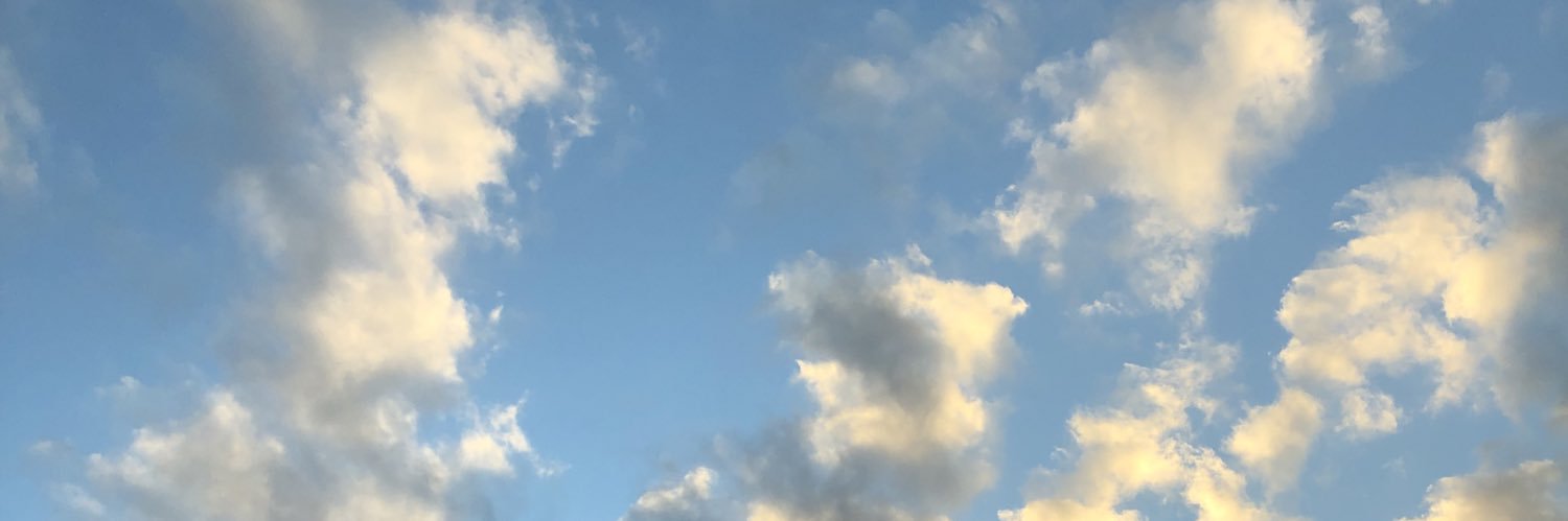 carolinefred's profile banner image