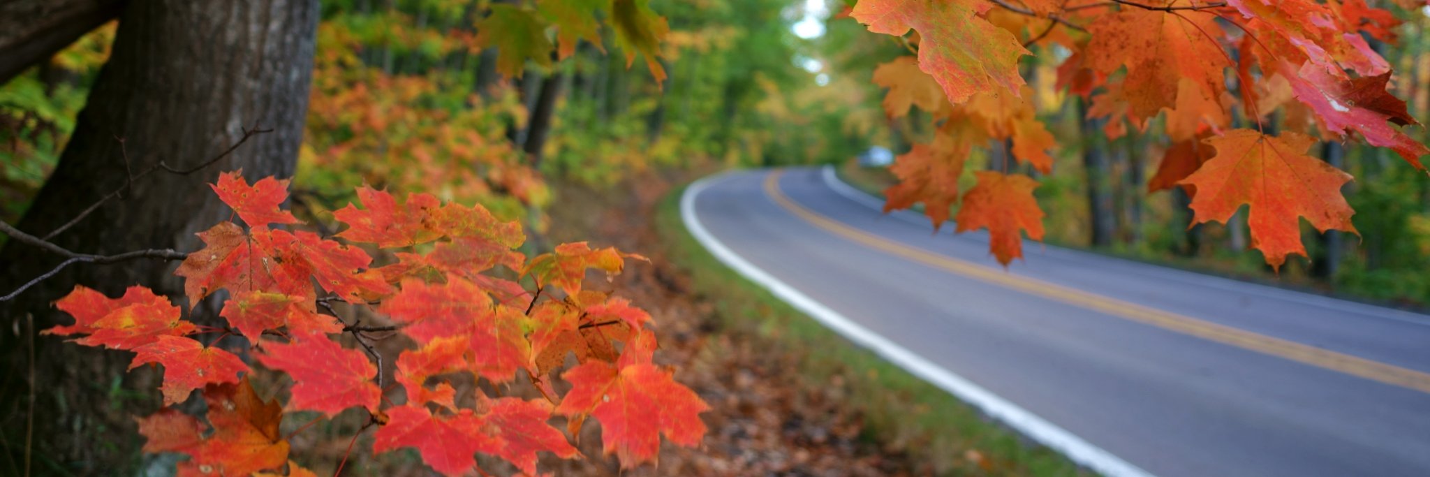 takemytrip's profile banner image