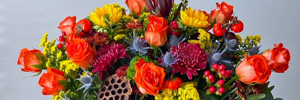 MobileProfessor Profile Banner