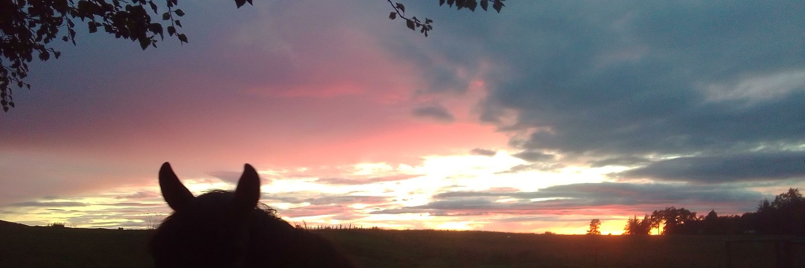 Susan_Maxwell_'s profile banner image