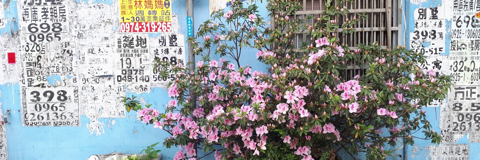 peggychen_'s profile banner image