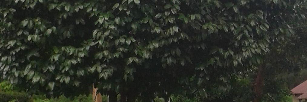 msinteria's profile banner image