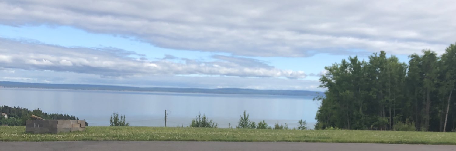 DebbieWadden's profile banner image