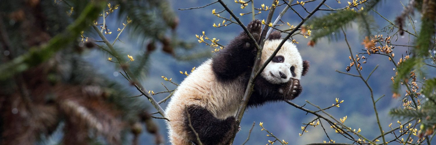 리퐁입니다 banner