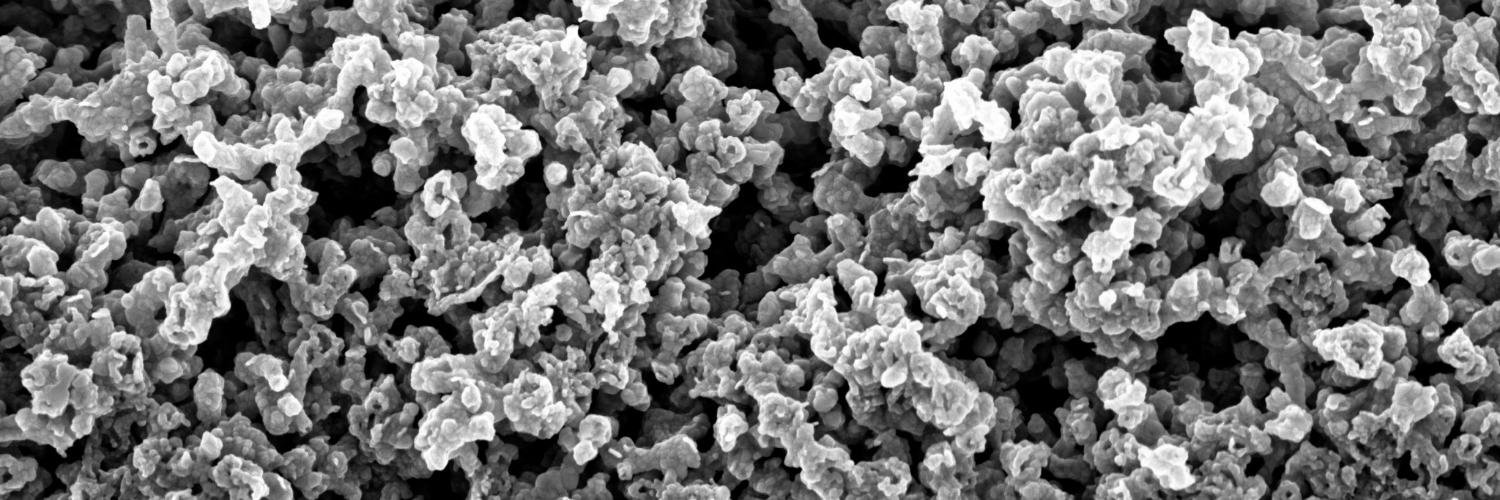 Michał A.Borysiewicz banner