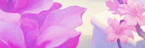 Steph_garda's profile banner image