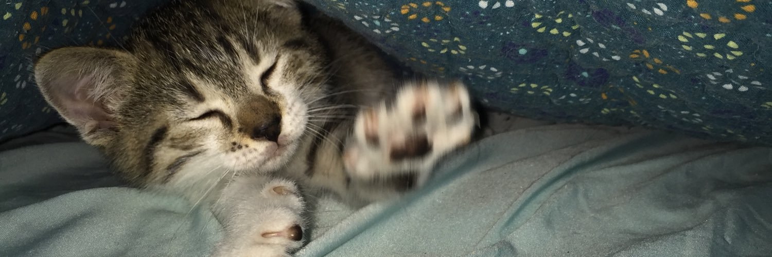 hannahredddd's profile banner image