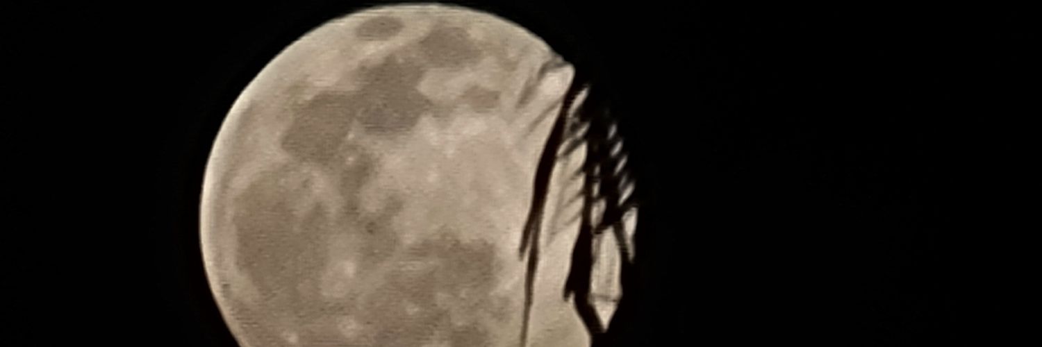 Ruba banner