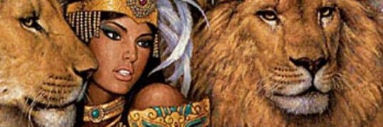 MoyoSauce's profile banner image
