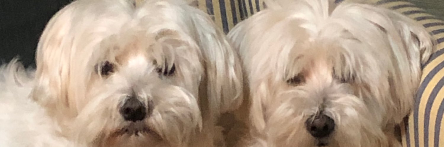 alfmunone's profile banner image