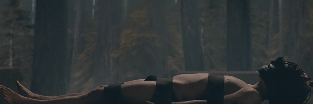 thebermange's profile banner image