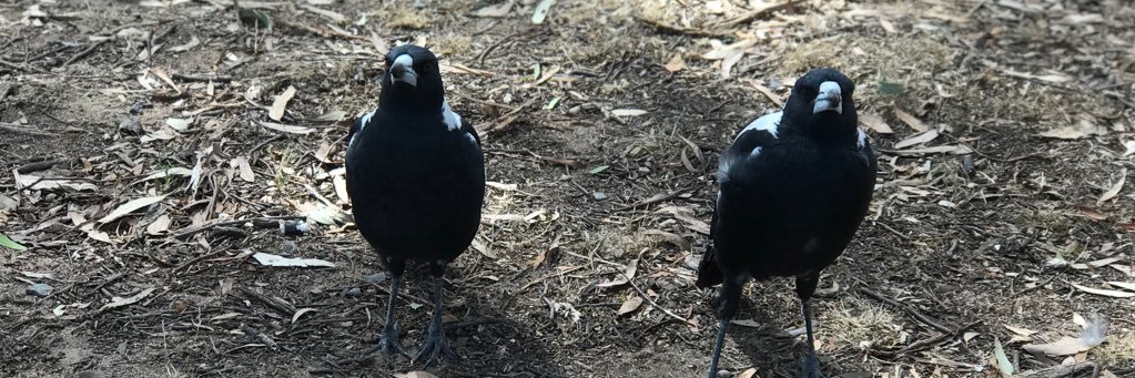 C4r0lineK's profile banner image