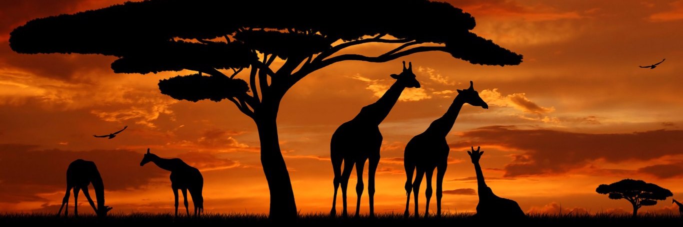 AshJLivingston's profile banner image