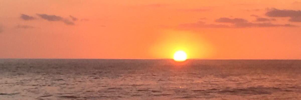 Mitch banner
