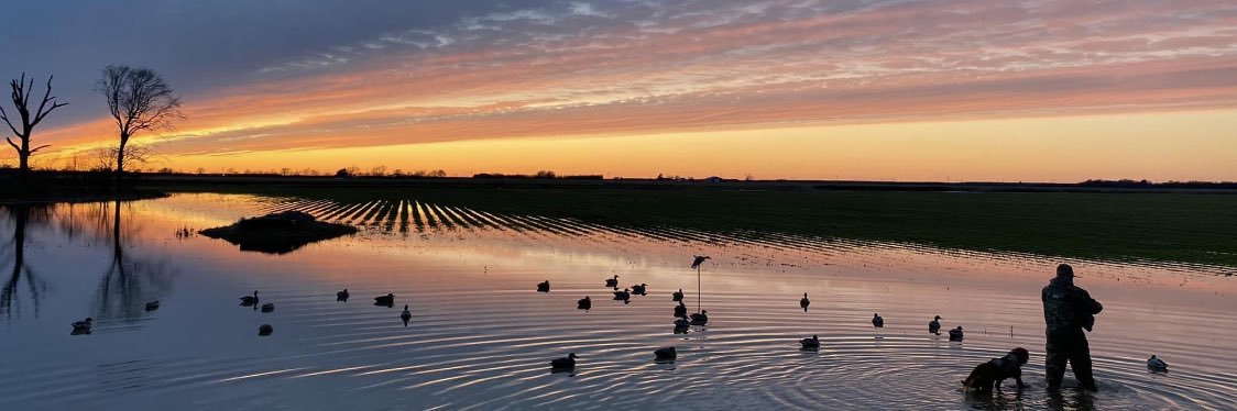 Taylor Masters banner